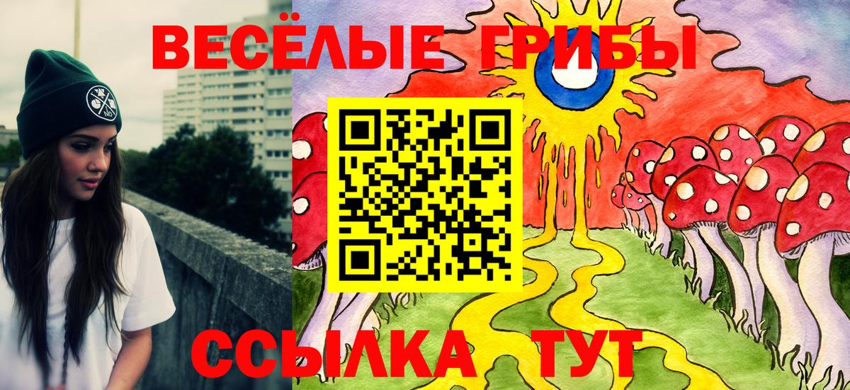 Псилоцибиновые грибы GOLDEN TEACHER Бор