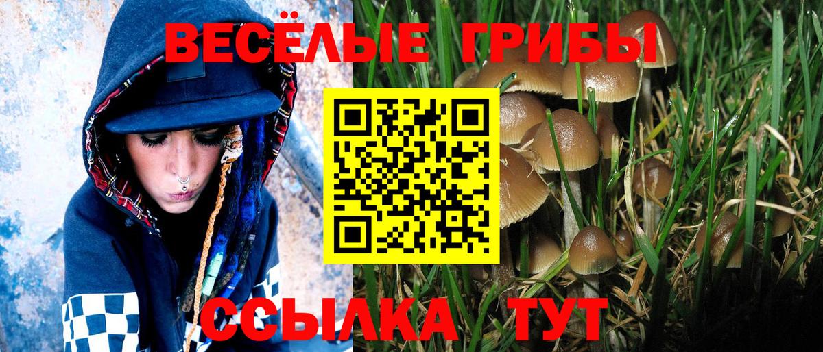Бор  Псилоцибиновые грибы ЛСД  Вход с VPN 